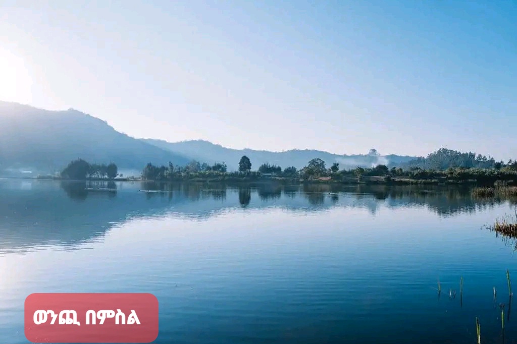 Contemporary Kitchen
